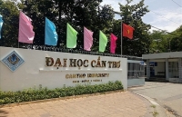 can tho targets 450 million usd in fdi in 2021 2030
