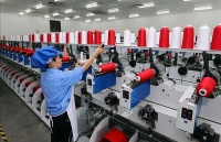 Vietnam – good land for major groups