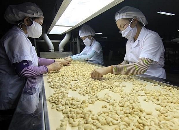 vietnams cashew export to china strongly rises