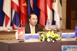 Hội nghị trực tuyến các Quan chức cao cấp ASEAN+3