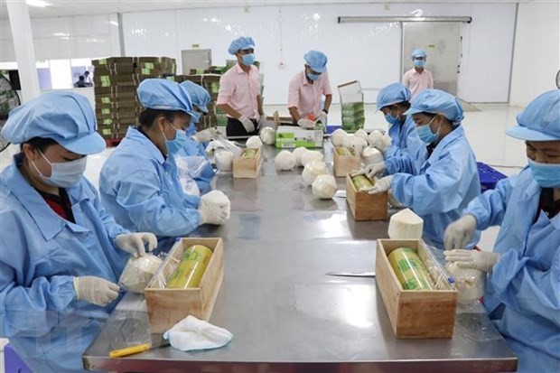 Ben Tre’s export turnover up 14.1 percent in six months