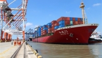 Lần đầu tiên, thặng dư thương mại Việt Nam và châu Mỹ đạt mức lịch sử hơn 100 tỷ USD