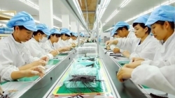 Business opportunities abundant for Swiss firms in Viet Nam: seminar