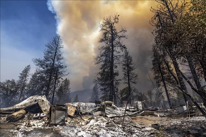 Mỹ: Hàng nghìn ha rừng bị thiêu rụi chỉ trong một ngày tại bang California
