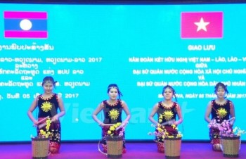 Art performance marks Vietnam-Laos diplomatic ties