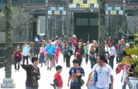 van long lagoon a must see destination in ninh binh