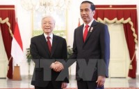 improving efficiency of vietnam indonesia investment promotion