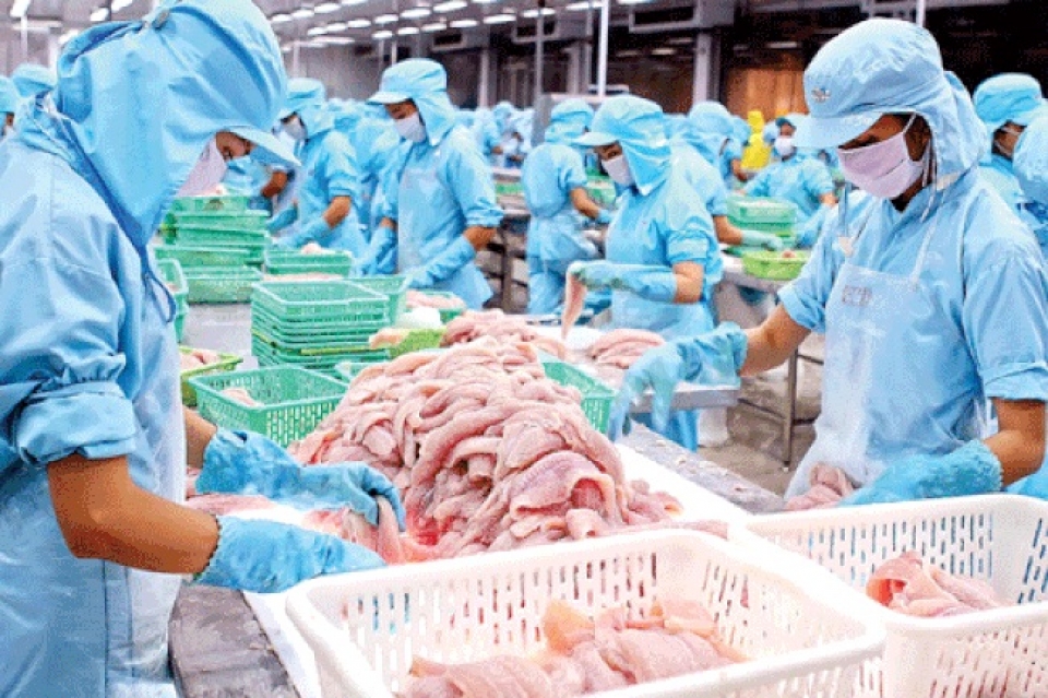 tra fish exports to us enjoys strong surge