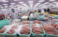 textile and garment exports increase in seven months