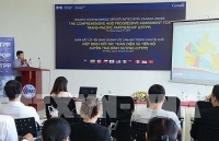 da nang focuses on turning tourism into spearhead economic sector