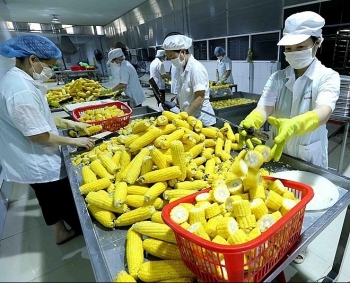 Processing, manufacturing firms expect better performance in Q3
