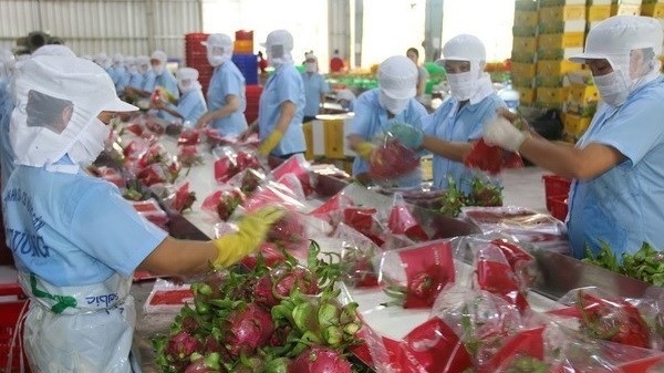 Tien Giang’s exports surge 19.8 percent during January-July