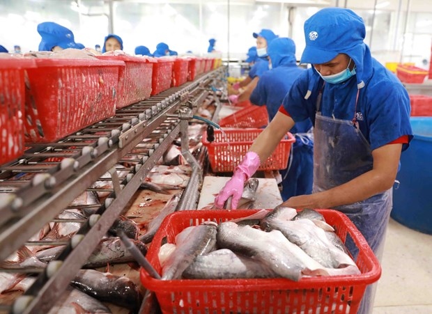 Vietnam poised to become world’s leading seafood processing centre