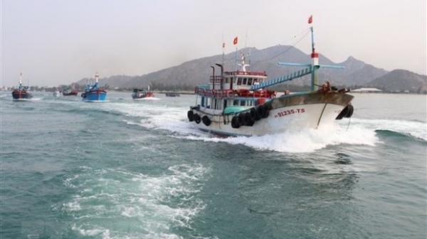 Thanh Hoa province works hard to fight IUU fishing