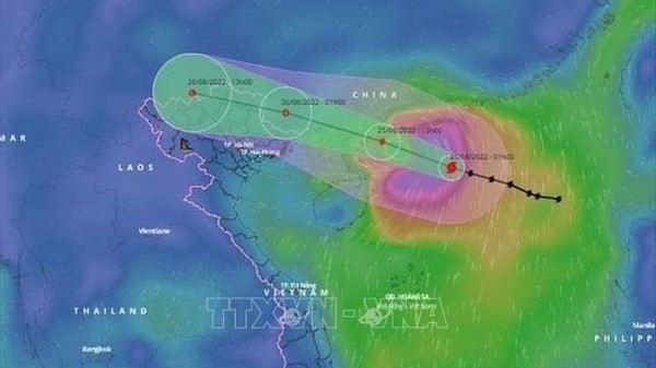 Northern region hit by torrential rains from August 25