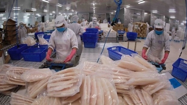 Seafood industry needs to adapt to market trends