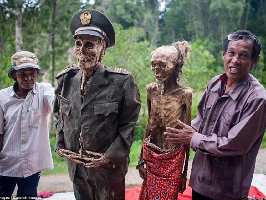 Rùng rợn nghi lễ "thay áo mới cho người chết" ở Indonesia