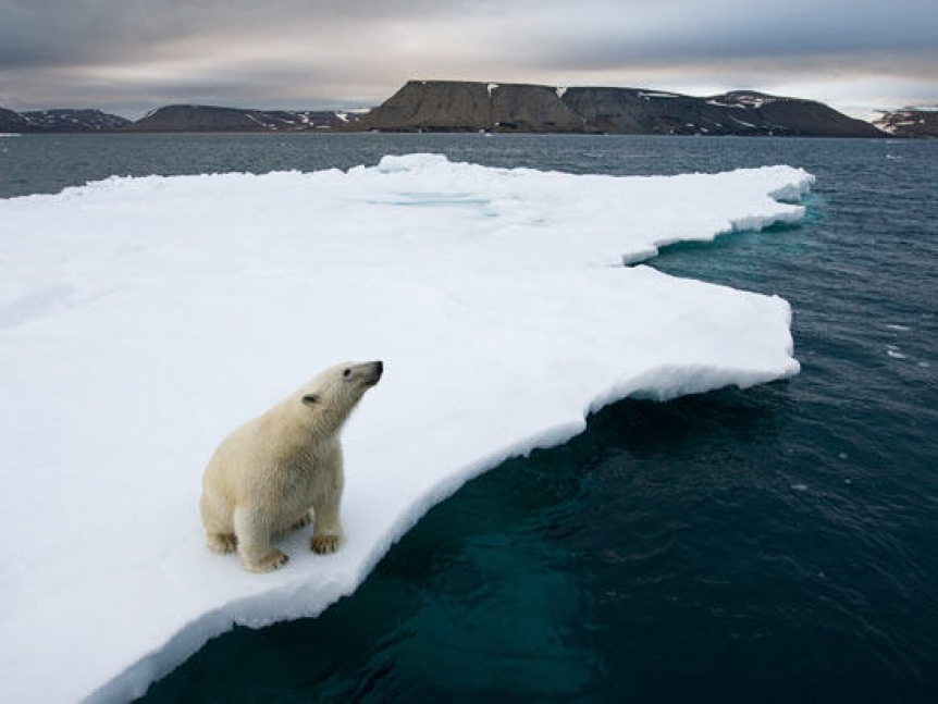 Diện tích băng Bắc Cực tiến gần mức thấp nhất