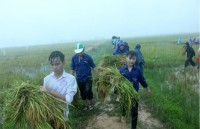 name changes in ho chi minh communist youth unions history