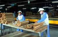vietnam sees strong growth in aquatic exports to us