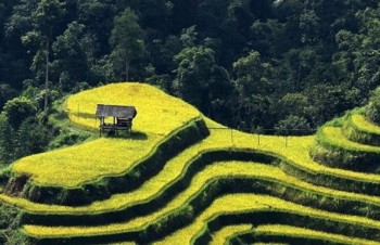 Cultural, tourism festival kicks off in Ha Giang