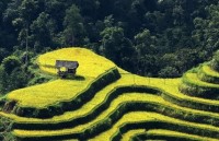human trafficking prevention project launched in ha giang