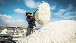 Salt industry development plan for 2021-2030 approved