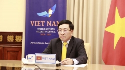 Phó Thủ tướng, Bộ trưởng Ngoại giao Phạm Bình Minh tham dự Phiên họp trực tuyến cấp cao Hội đồng Bảo an LHQ