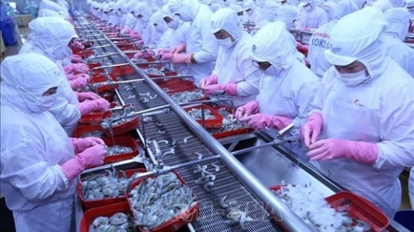 Vietnam’s seafood exports to Russia record strong rebound