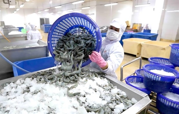 Ca Mau facilitates seafood exports to UK