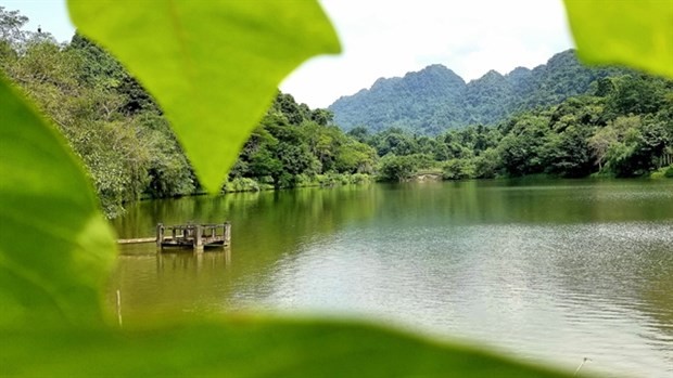 Cuc Phuong National Park again wins at World Travel Awards 2022