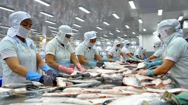 US maintains anti-dumping duties on Vietnam’s pangasius