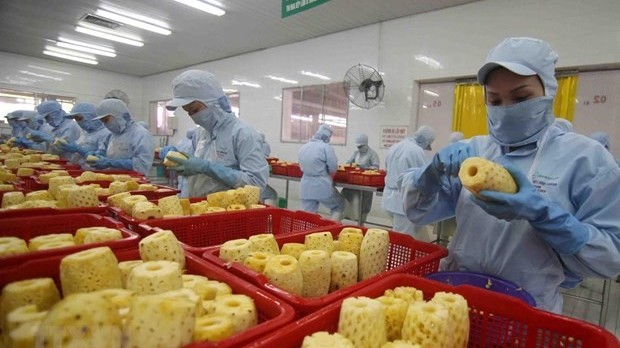 Deep processing to develop the local agricultural products