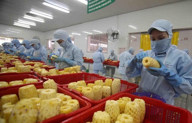 Deep processing to develop the local agricultural products