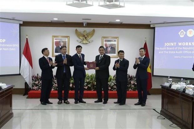 Vietnam, Indonesia share audit experience