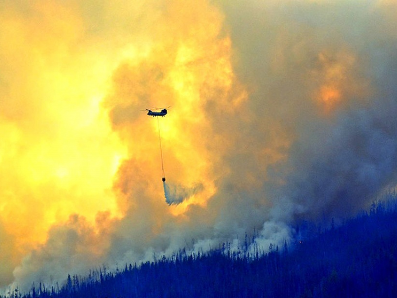 Biến đổi khí hậu gây ra 1/2 số vụ cháy rừng