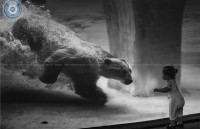 prize winning photos of national youth photo festival 2017