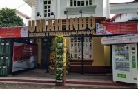 improving efficiency of vietnam indonesia investment promotion