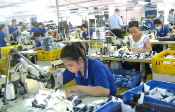 Mekong Delta provinces attract more foreign investment