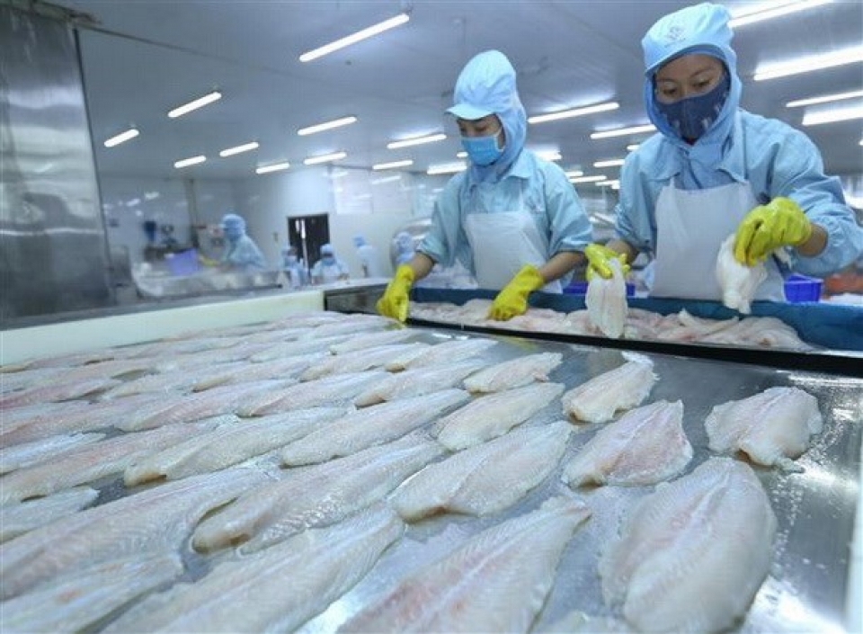 tra fish exports to us enjoy strong surge