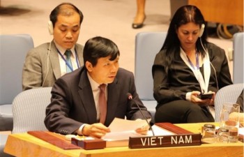 Vietnam attends UN First Committee’s debate on conventional weapons