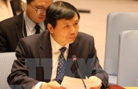 vietnam urges concerned parties in yemen to implement ceasefire
