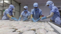Fisheries export slump eases in September, signs of recovery seen
