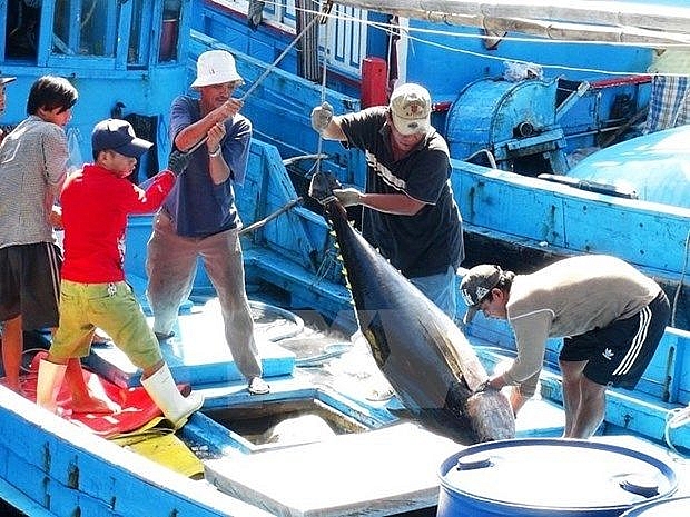 Tuna exports to Italy soar in September