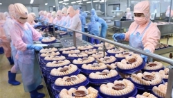 Processing industry makes up over 86 percent of total export revenue in nine months