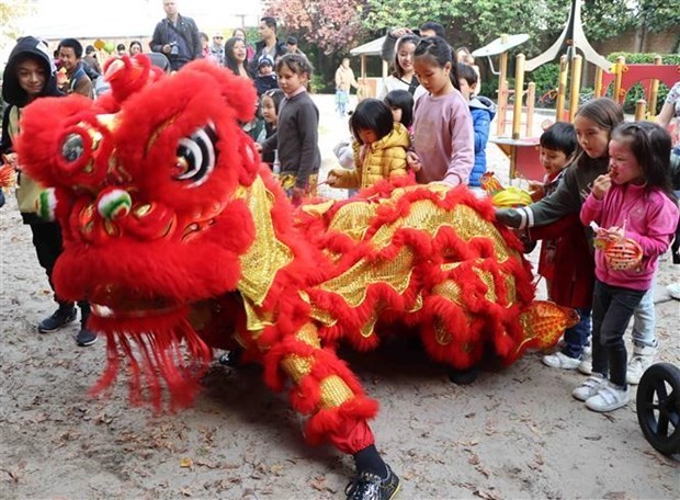 Vietnam Family Day in Belgium held