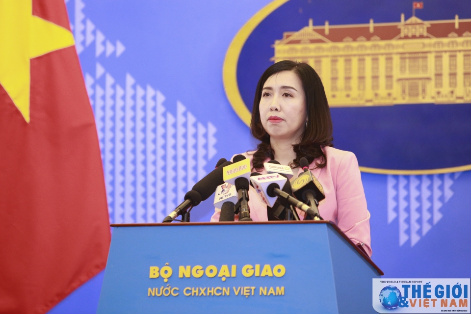 vietnam denies returning trinh xuan thanh to germany fm spokesperson