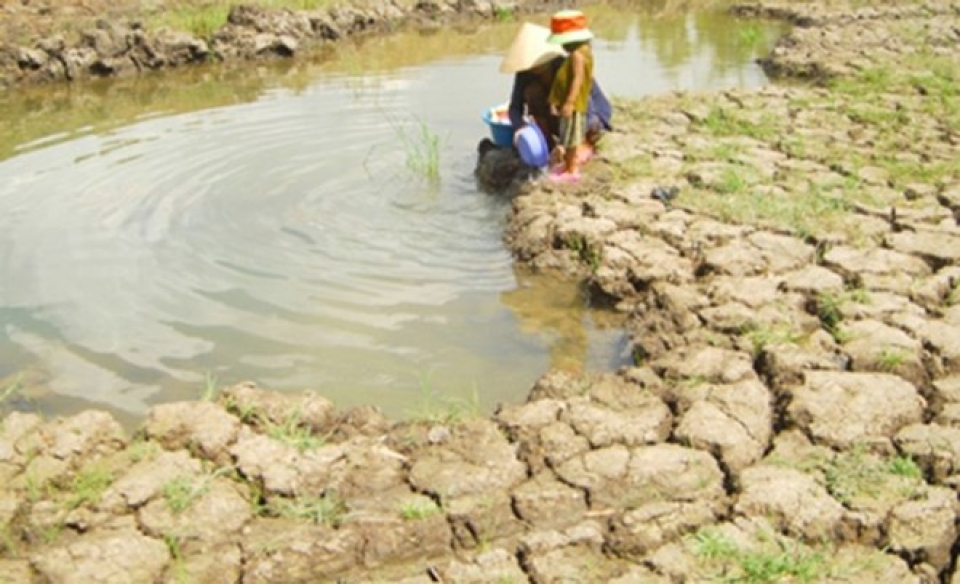 netherlands helps to improve water supply capacity in mekong delta