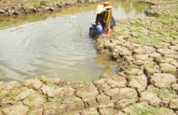 Netherlands helps to improve water supply capacity in Mekong Delta