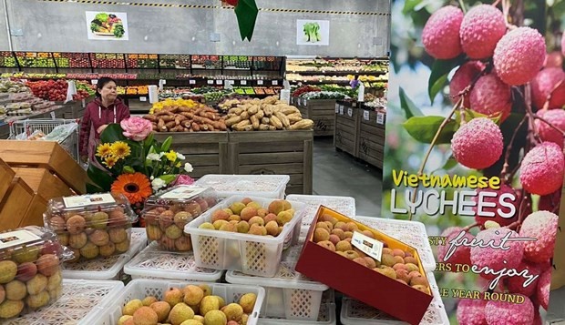 Vietnam’s farm produce exports to Australia post good growth